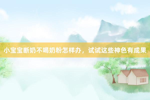 小宝宝断奶不喝奶粉怎样办，试试这些神色有成果