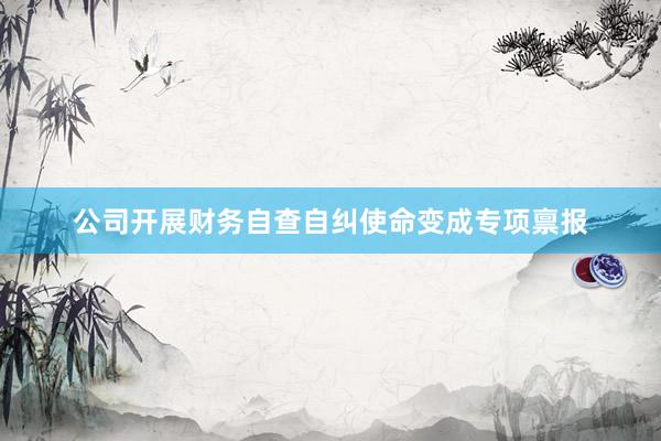 公司开展财务自查自纠使命变成专项禀报