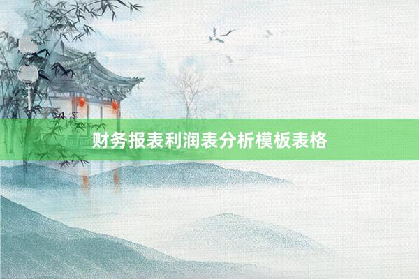 财务报表利润表分析模板表格