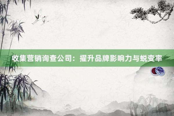 收集营销询查公司：擢升品牌影响力与蜕变率