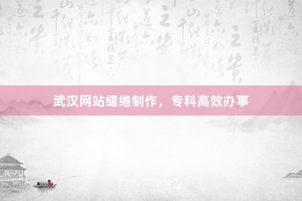武汉网站缱绻制作，专科高效办事