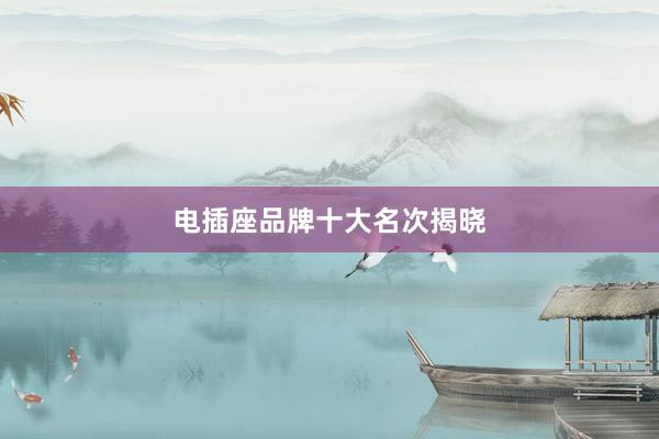 电插座品牌十大名次揭晓