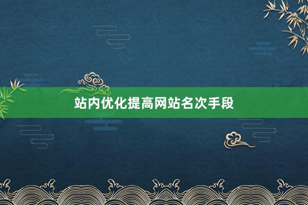 站内优化提高网站名次手段
